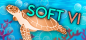 SOFT 6 3rd-place badge