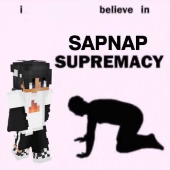 Sapnap, Wiki