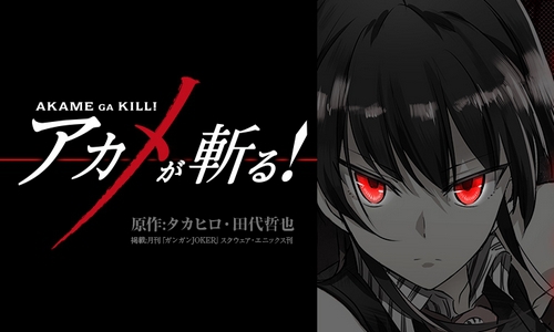 Akame Ga Kill 30 Day Challenge #19